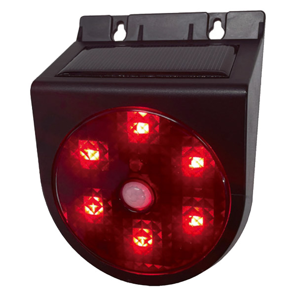 ソーラーパトピカ